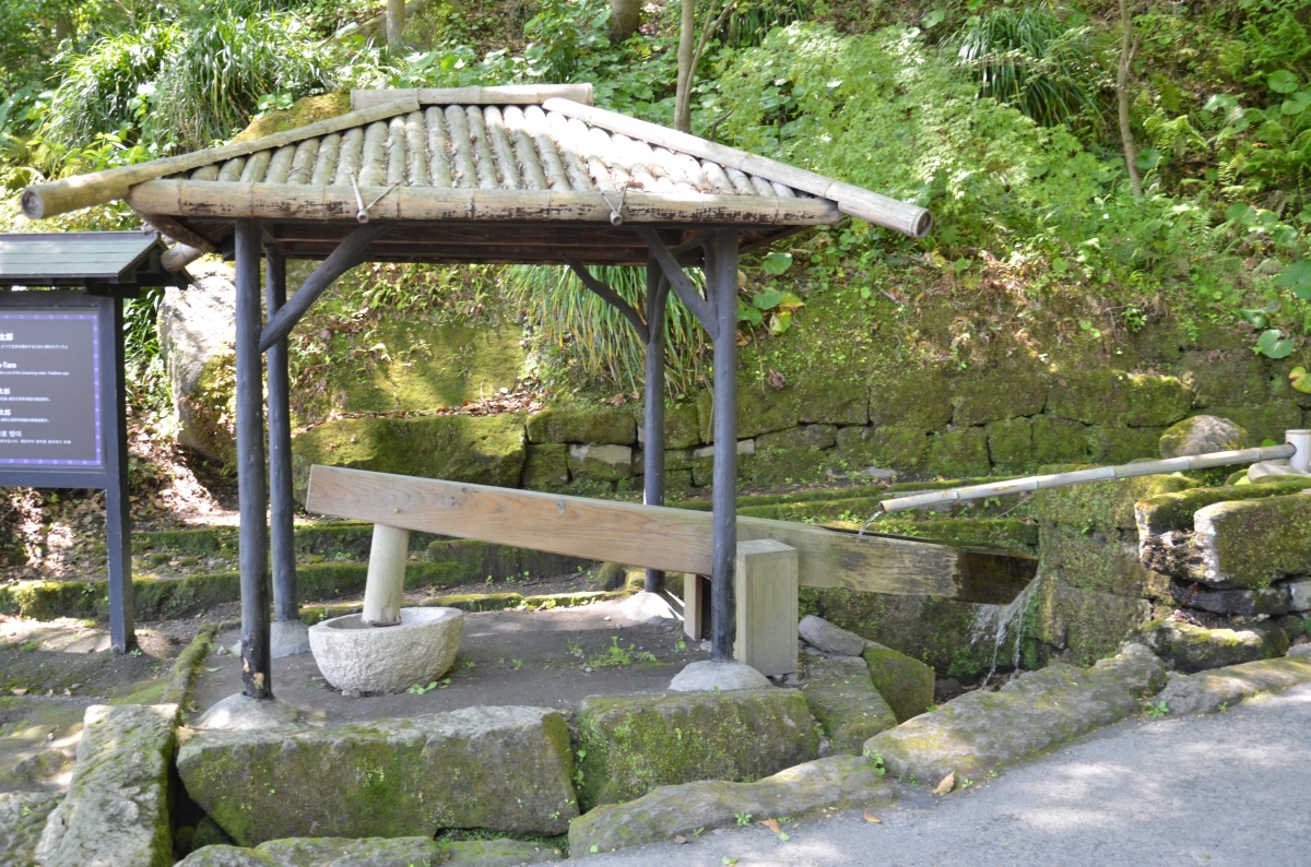 sakon-taro