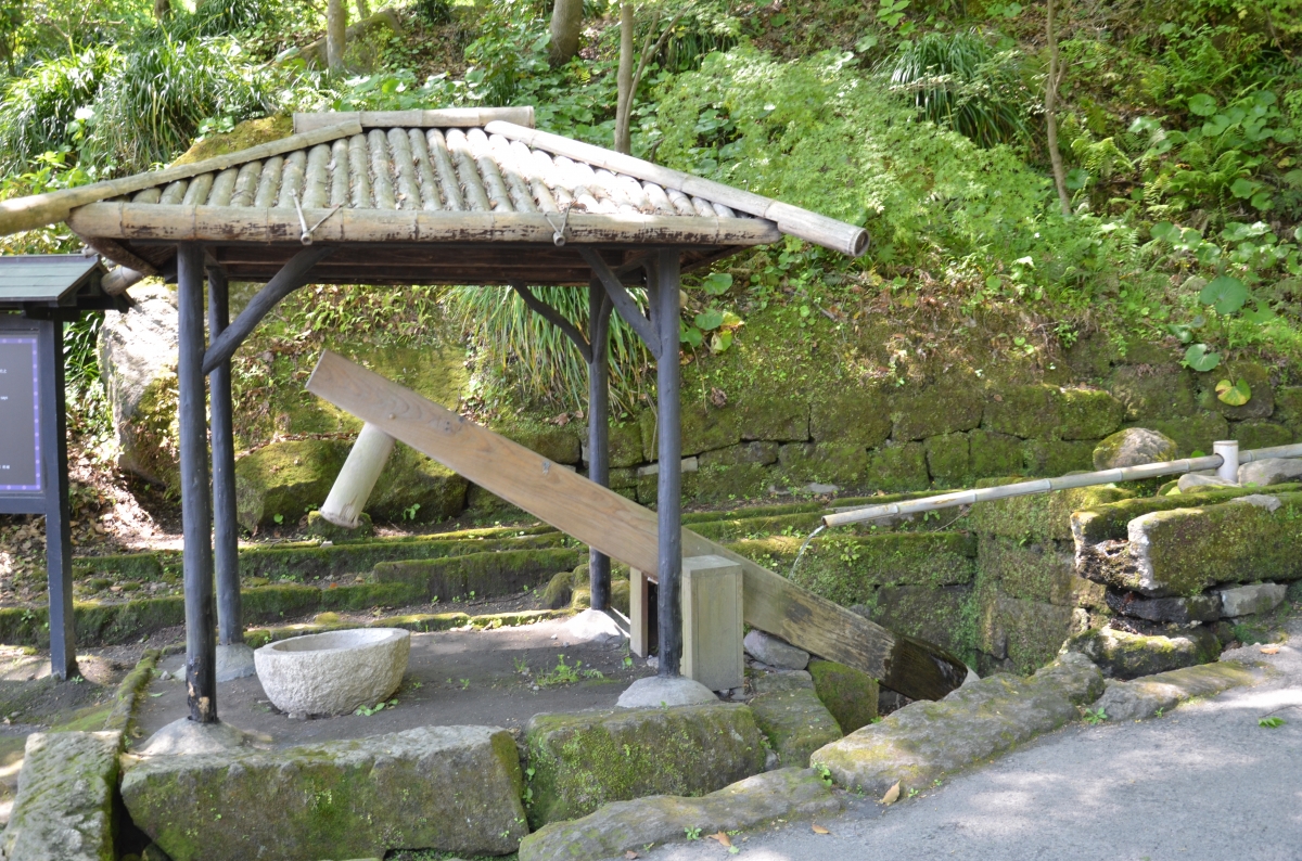 sakon-taro-striking