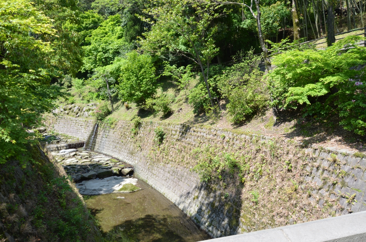 stream