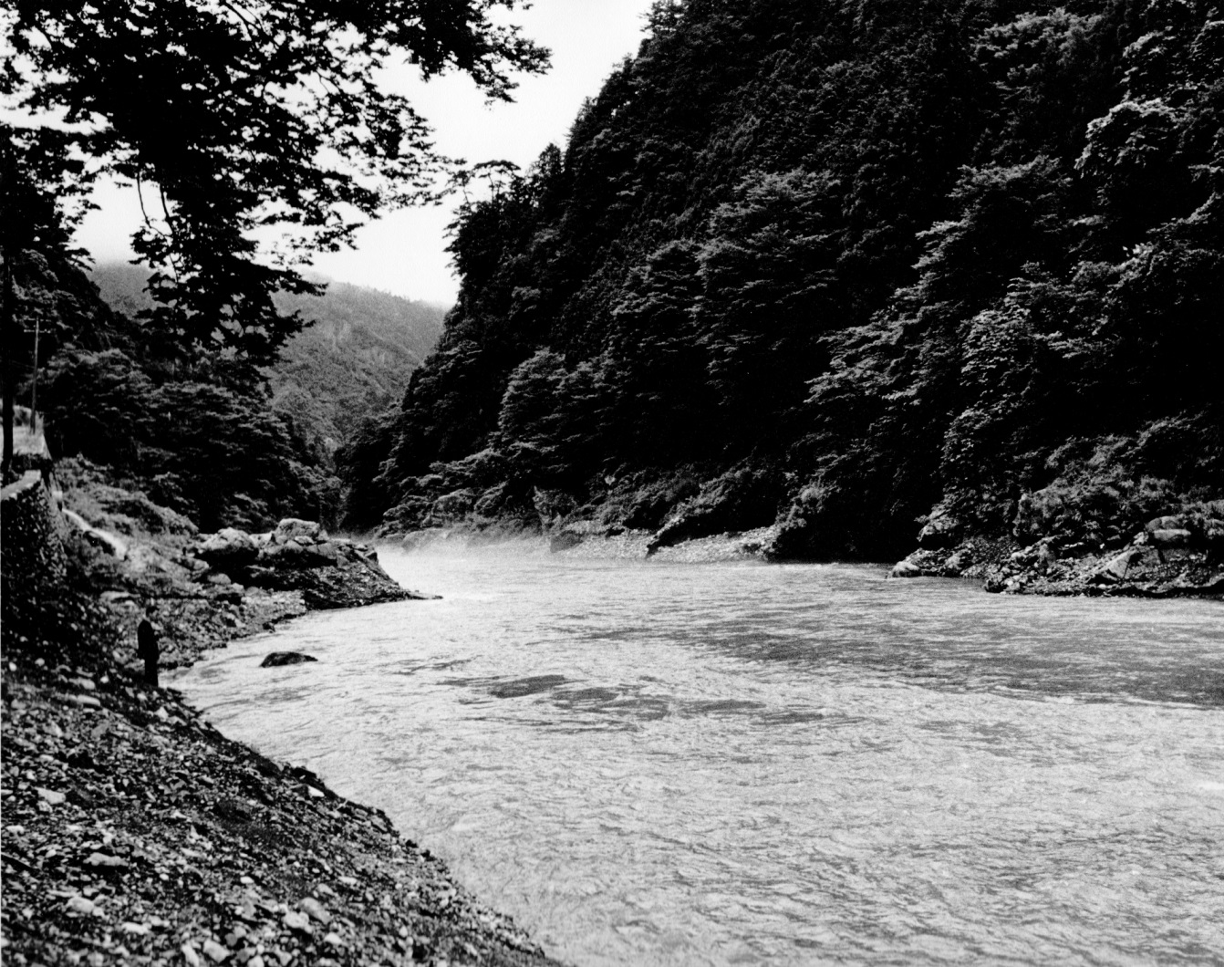 fisherman casting from the riverbank